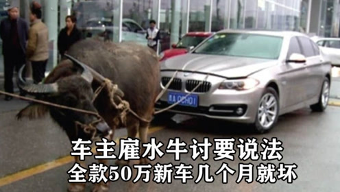 关于我们 第698页