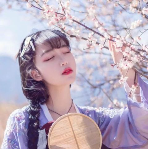成功案例 第667页