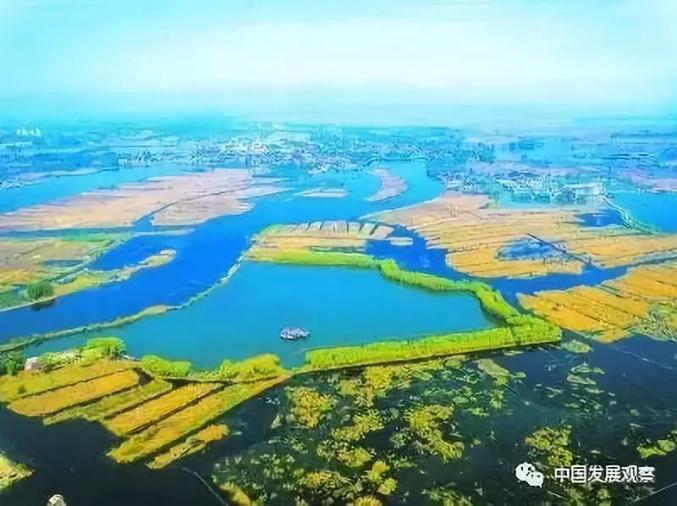 成功案例 第665页