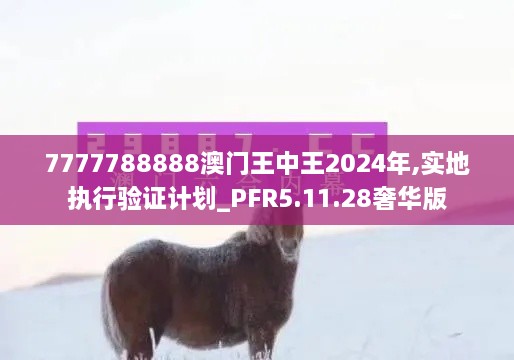 成功案例 第498页