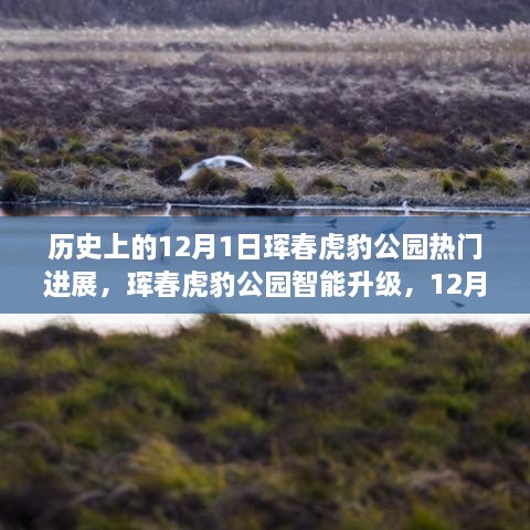 成功案例 第338页