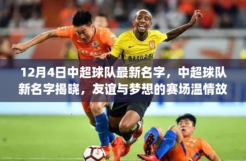 关于我们 第311页