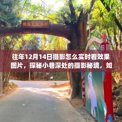 成功案例 第289页