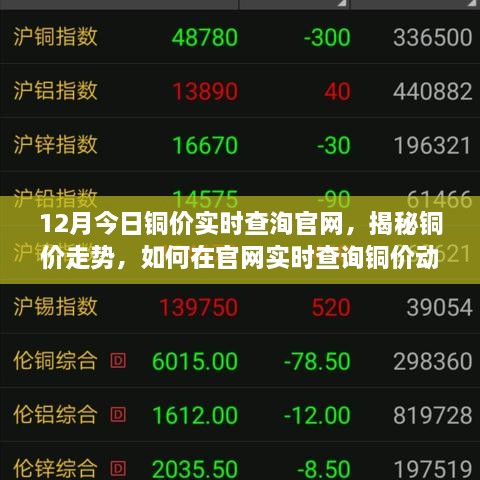 nangyingyingxue 第4页