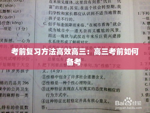 瑞雪飞舞 第3页
