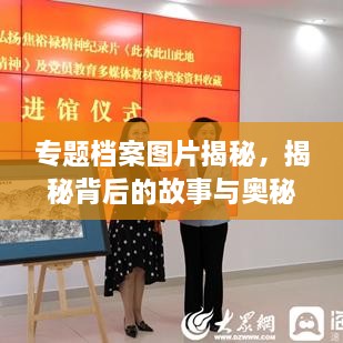 专题档案图片揭秘，揭秘背后的故事与奥秘