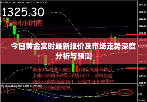 成功案例 第128页