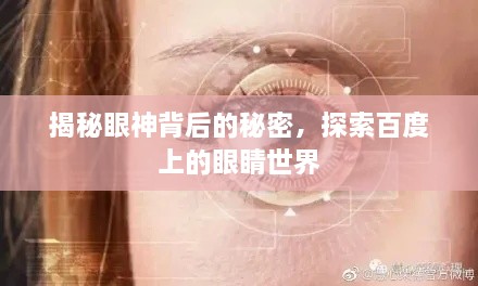 联系我们 第118页