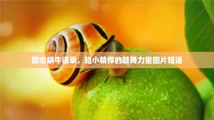 关于我们 第109页