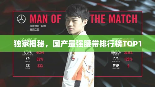 独家揭秘，国产最强腰带排行榜TOP10