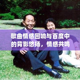 歌曲情感回响与百度中的背影悠扬，情感共鸣的旋律探索