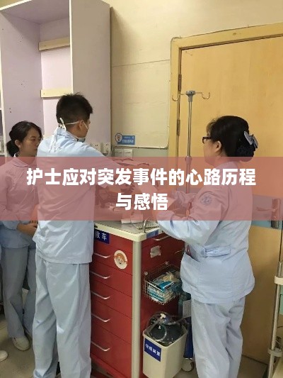 新闻动态 第47页