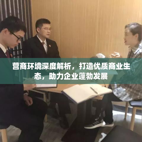 营商环境深度解析，打造优质商业生态，助力企业蓬勃发展