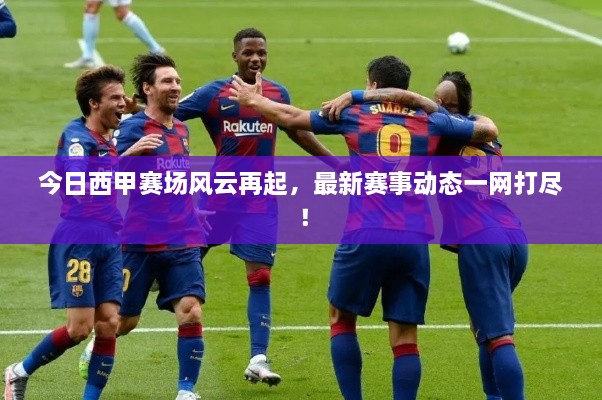 笨鸟先飞