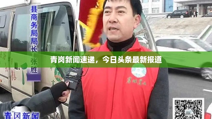 新闻动态 第11页