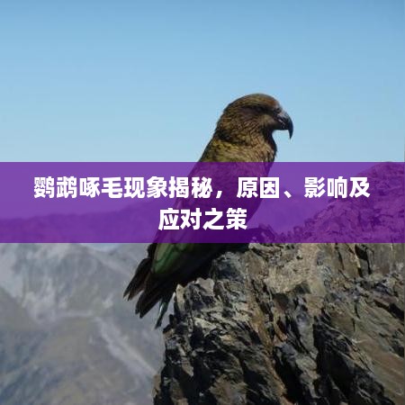 2025年5月9日