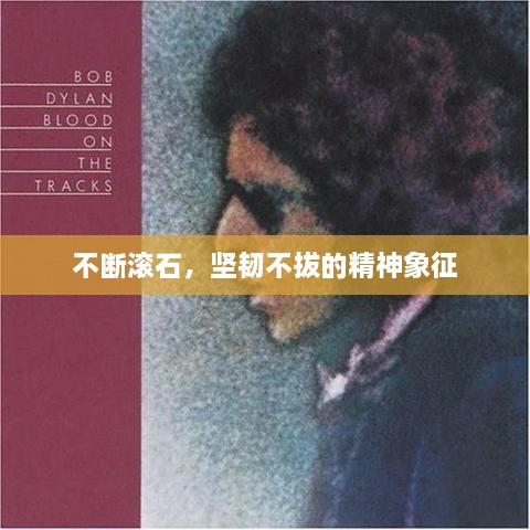 2025年5月10日