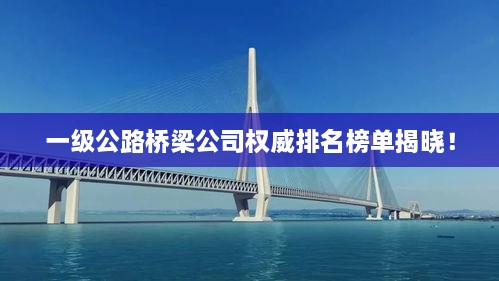 一级公路桥梁公司权威排名榜单揭晓！