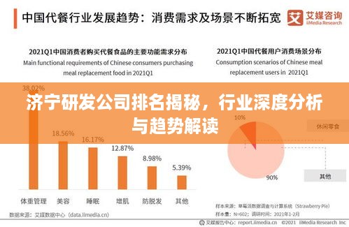 济宁研发公司排名揭秘，行业深度分析与趋势解读