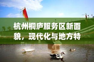 杭州桐庐服务区新面貌，现代化与地方特色融合之旅