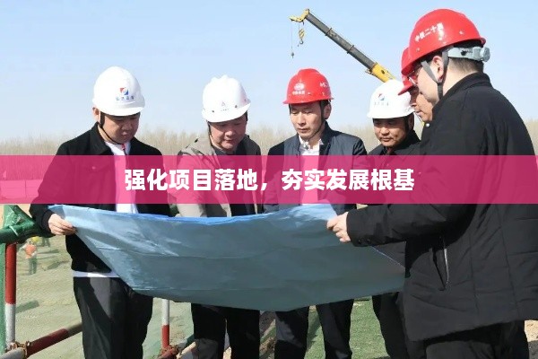 强化项目落地，夯实发展根基