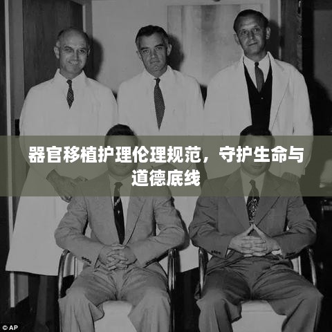 器官移植护理伦理规范，守护生命与道德底线