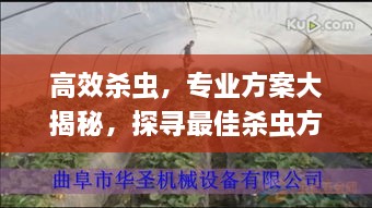 高效杀虫，专业方案大揭秘，探寻最佳杀虫方案