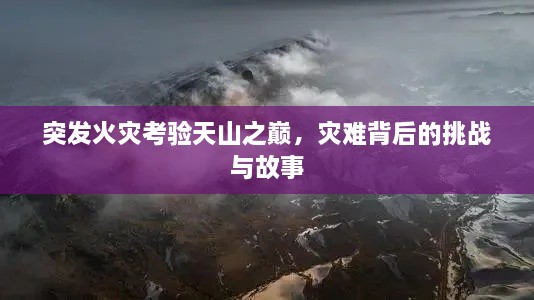 突发火灾考验天山之巅，灾难背后的挑战与故事