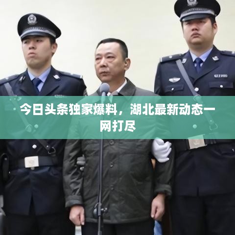 今日头条独家爆料，湖北最新动态一网打尽