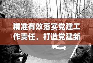 精准有效落实党建工作责任，打造党建新局面