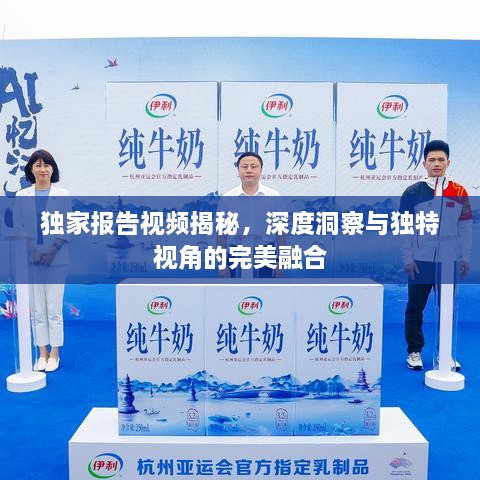 独家报告视频揭秘，深度洞察与独特视角的完美融合