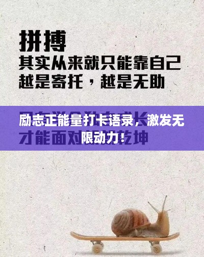 2025年5月29日 第2页