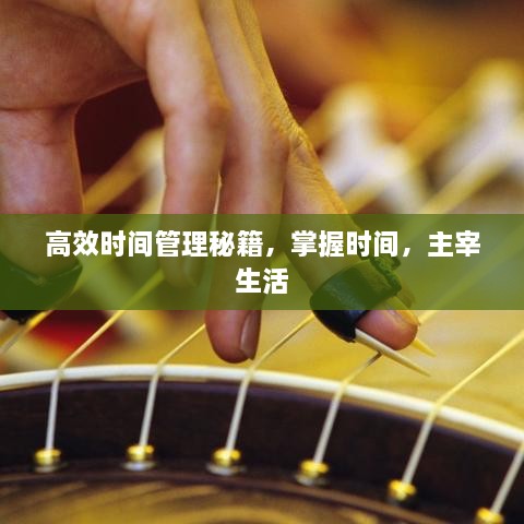 高效时间管理秘籍，掌握时间，主宰生活