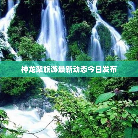 神龙架旅游最新动态今日发布