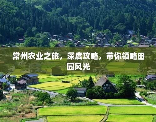 常州农业之旅，深度攻略，带你领略田园风光