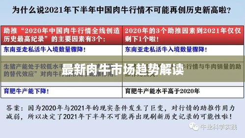 最新肉牛市场趋势解读