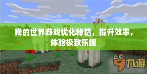 我的世界游戏优化秘籍，提升效率，体验极致乐趣