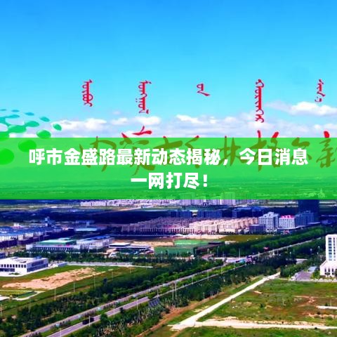呼市金盛路最新动态揭秘，今日消息一网打尽！