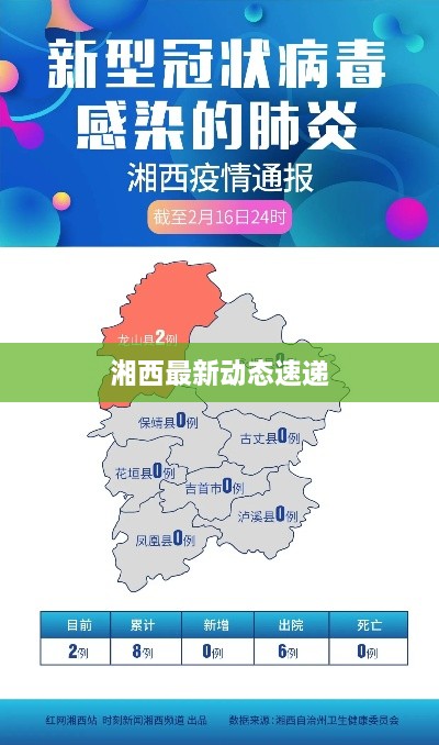 湘西最新动态速递