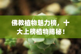 佛教植物魅力榜，十大上榜植物揭秘！