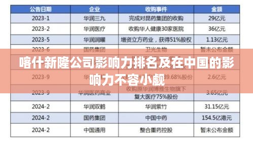 喀什新隆公司影响力排名及在中国的影响力不容小觑