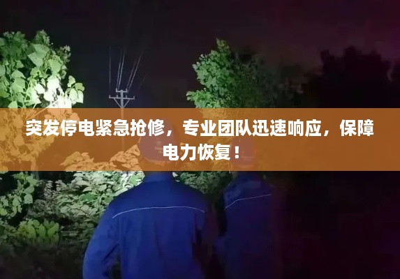 突发停电紧急抢修，专业团队迅速响应，保障电力恢复！