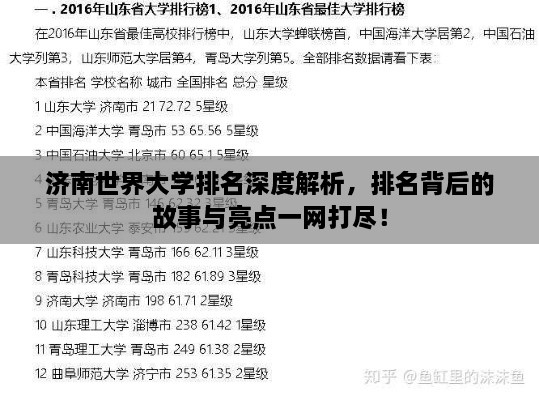 济南世界大学排名深度解析，排名背后的故事与亮点一网打尽！