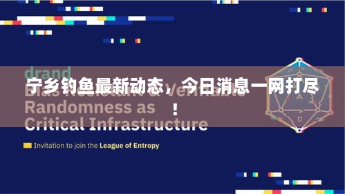 宁乡钓鱼最新动态，今日消息一网打尽！