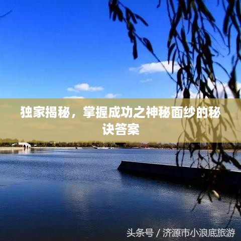 独家揭秘，掌握成功之神秘面纱的秘诀答案
