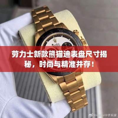 劳力士新款熊猫迪表盘尺寸揭秘，时尚与精准并存！